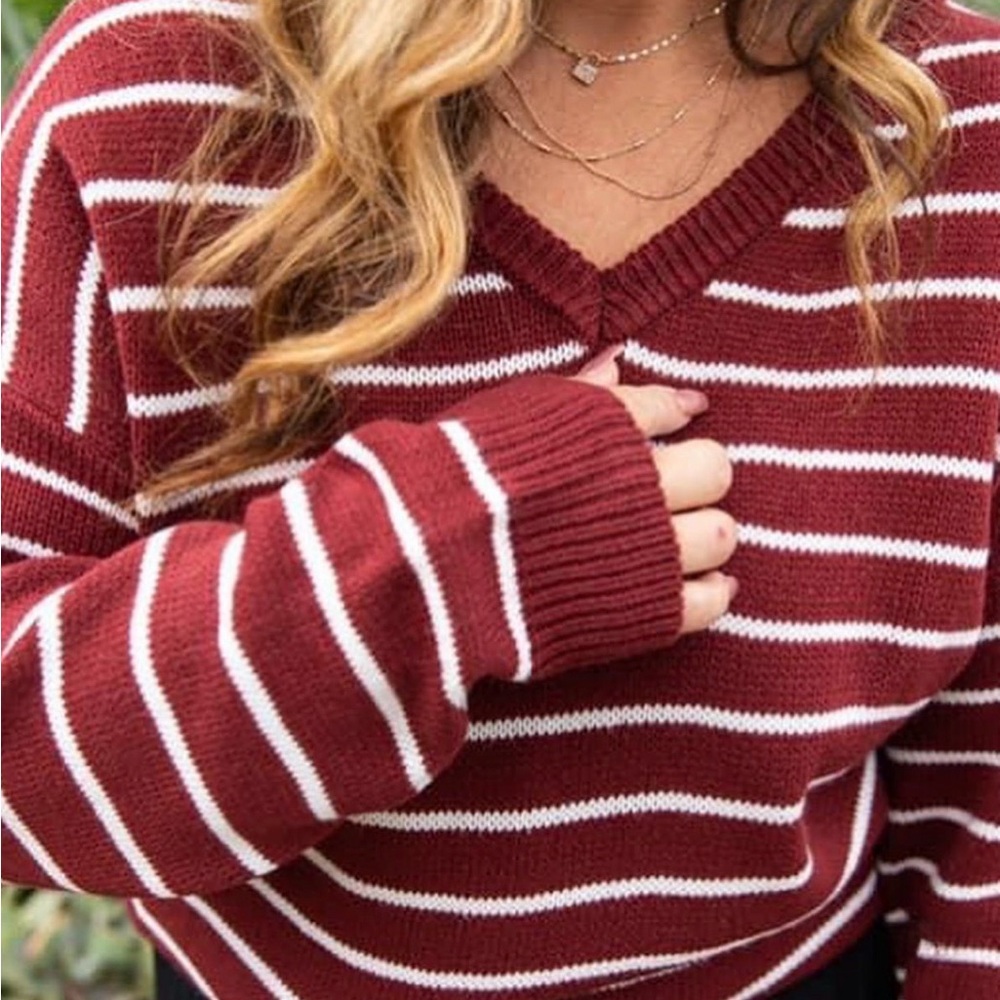 NWT “Torrie” V-Neck Sweater